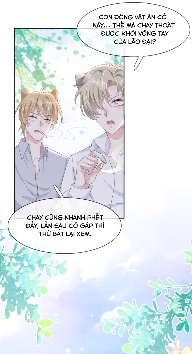 Một Ngụm Ăn Cả Thỏ Con Chapter 1 - Trang 3
