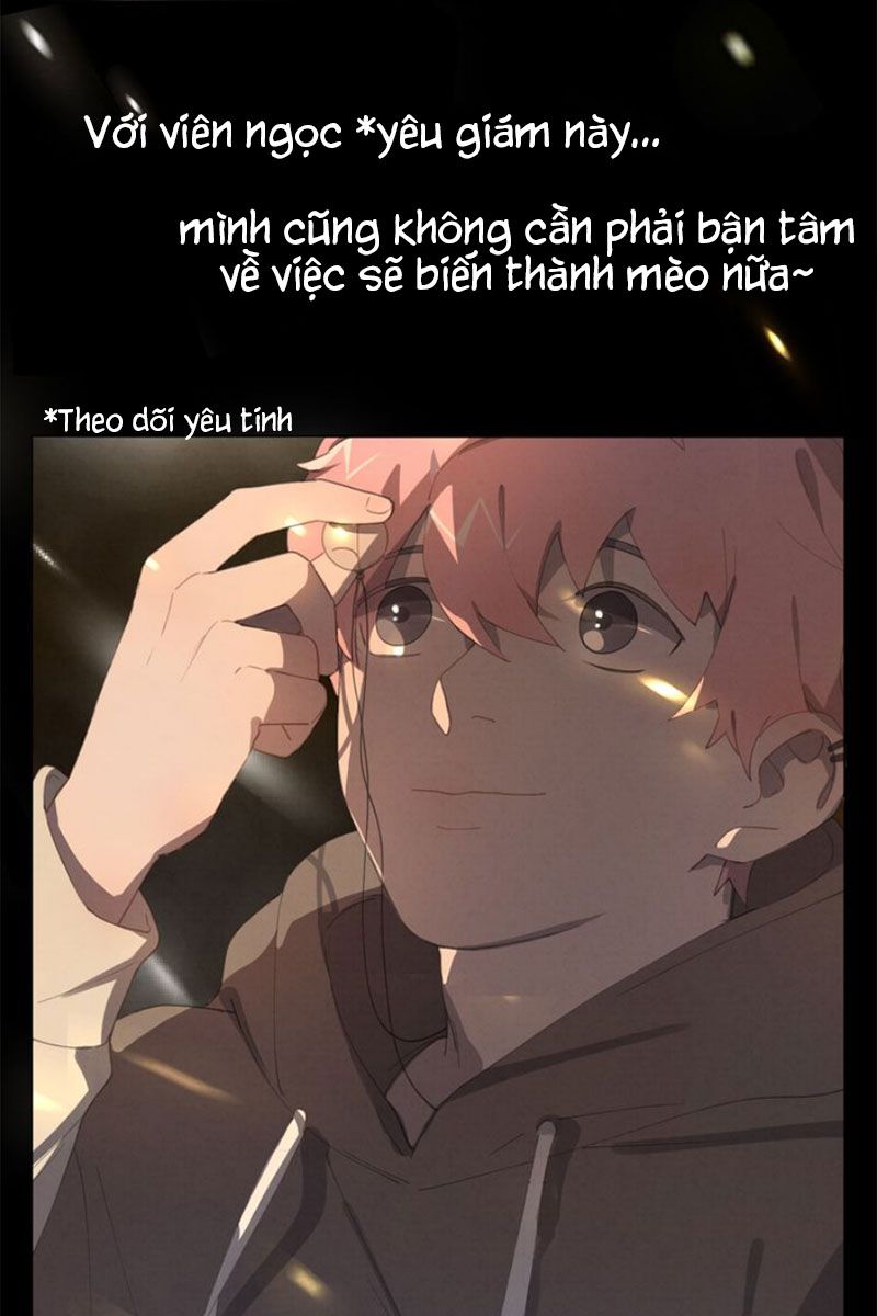 Thế giới của một chú mèo Chapter 25 - Trang 2