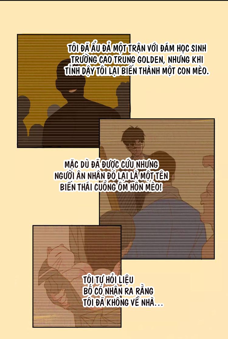 Thế giới của một chú mèo Chapter 2 - Trang 2