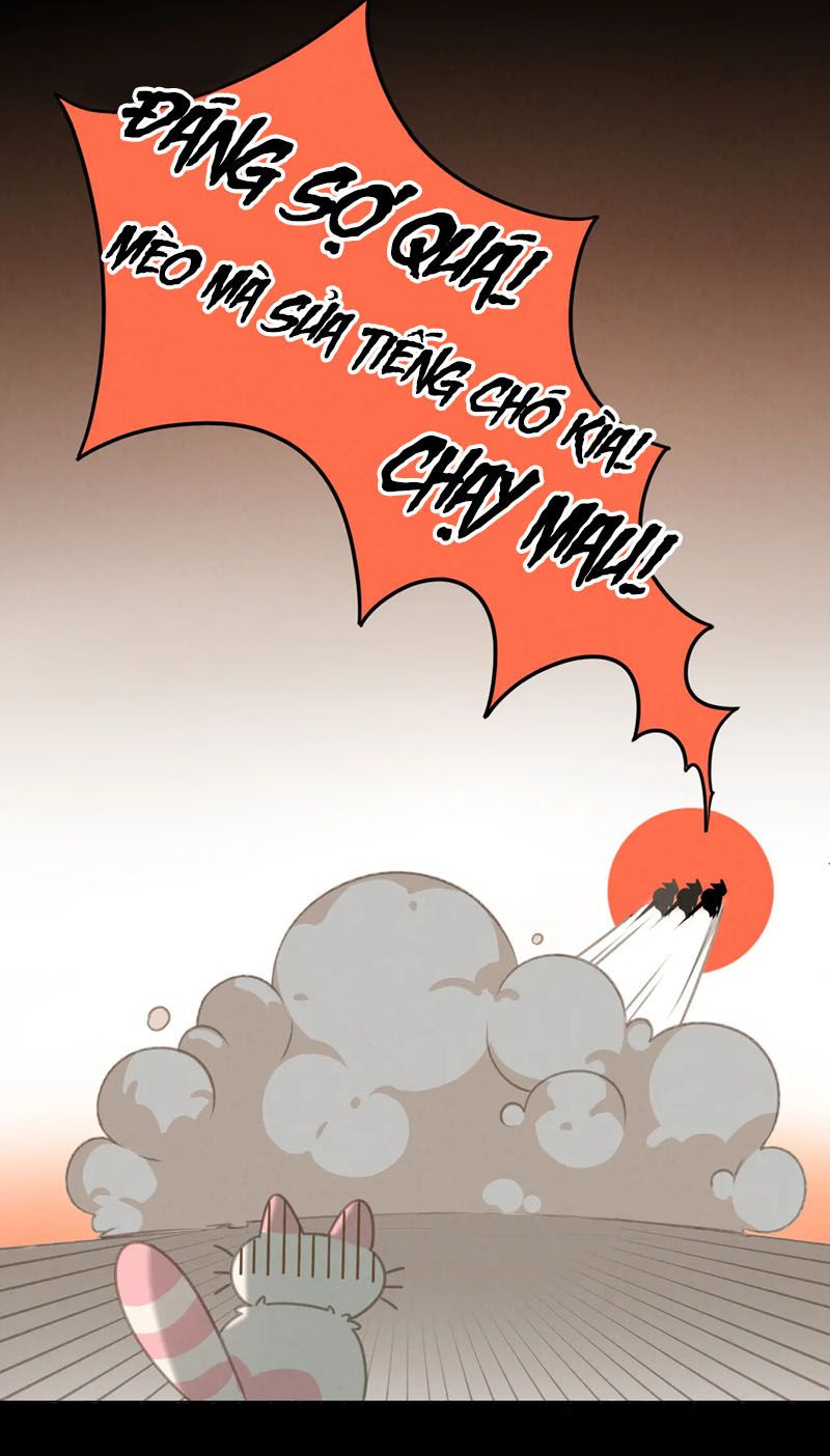 Thế giới của một chú mèo Chapter 27 - Trang 2