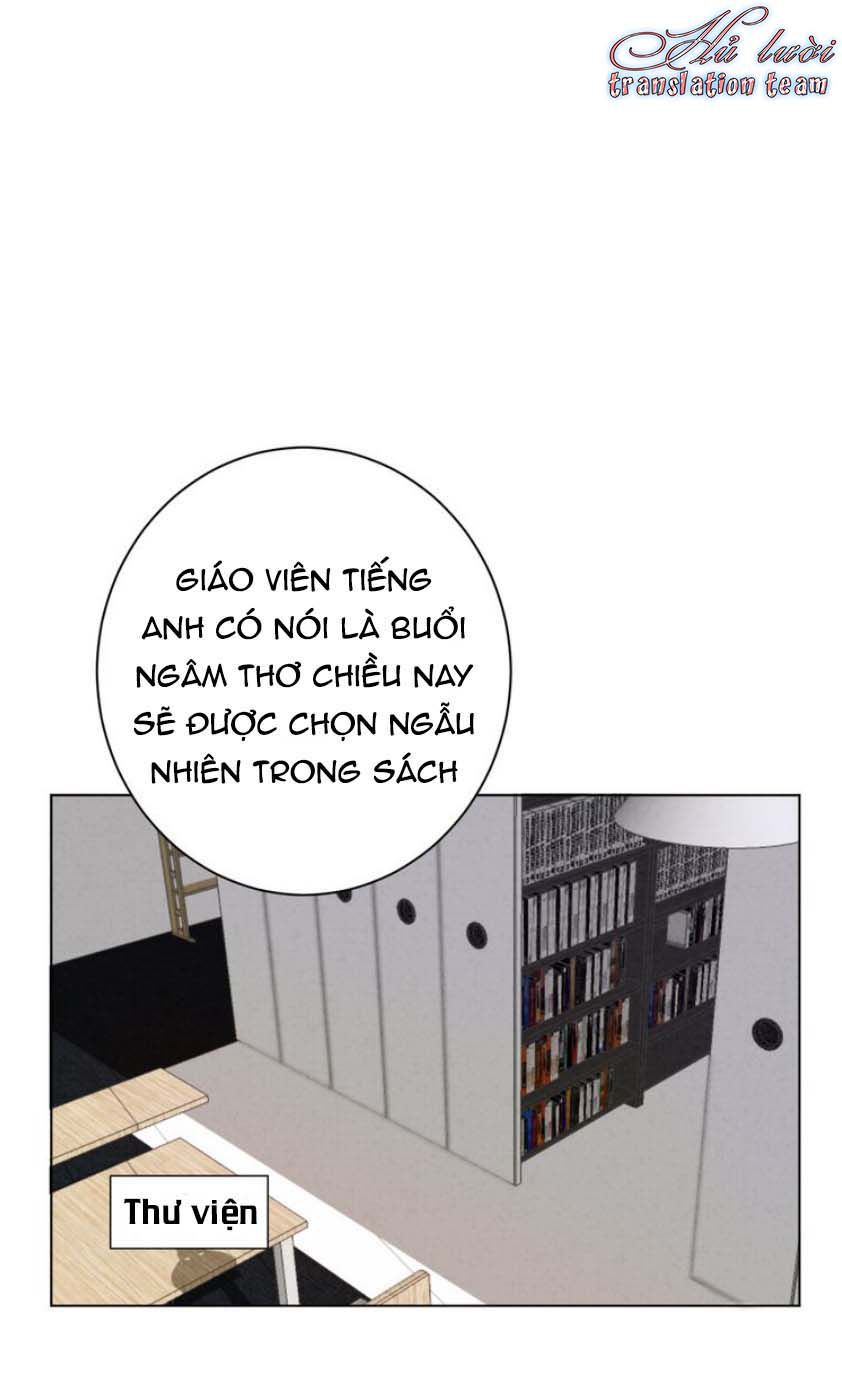 Thế giới của một chú mèo Chapter 18 - Trang 2