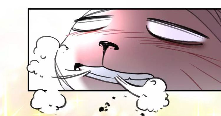 Thế giới của một chú mèo Chapter 3 - Trang 2