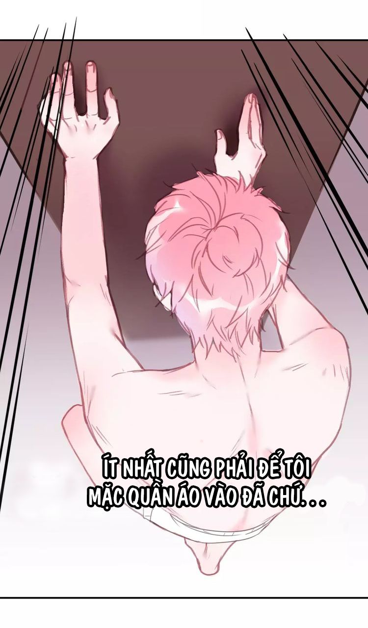 Thế giới của một chú mèo Chapter 2 - Trang 2
