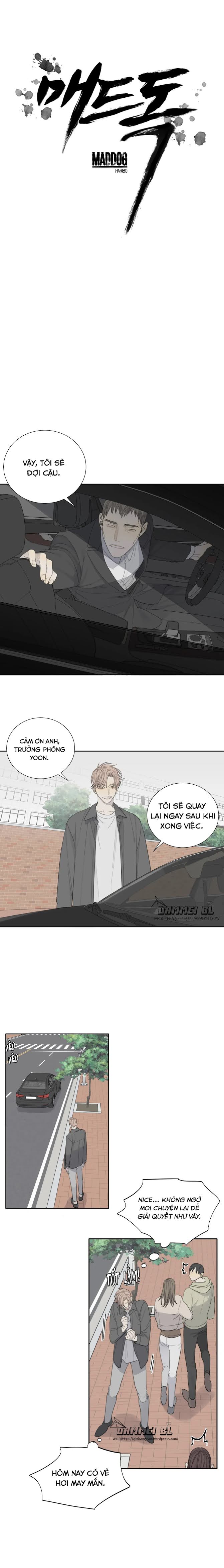 Chó Điên Chapter 12 - Trang 2