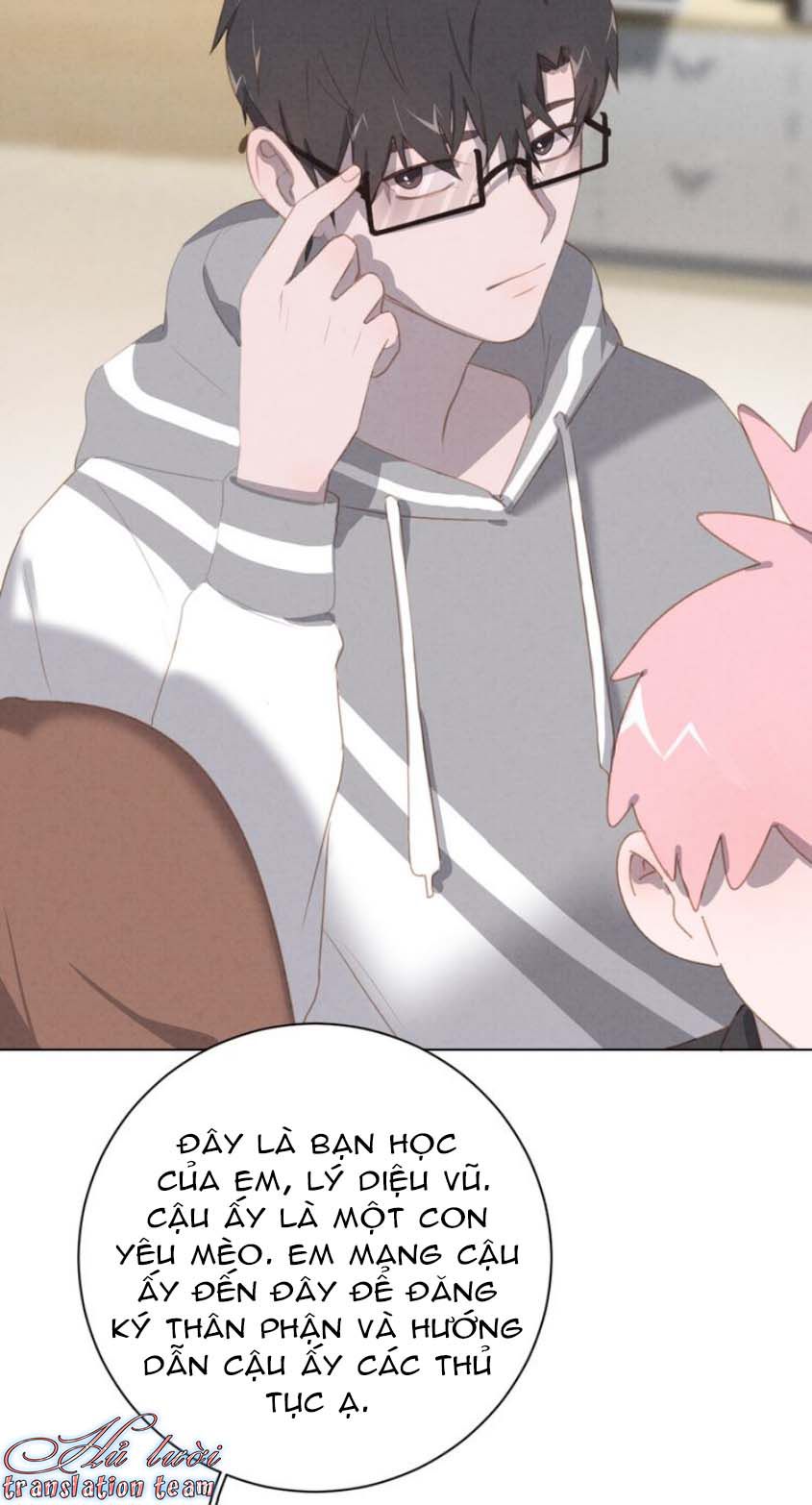 Thế giới của một chú mèo Chapter 23 - Trang 2