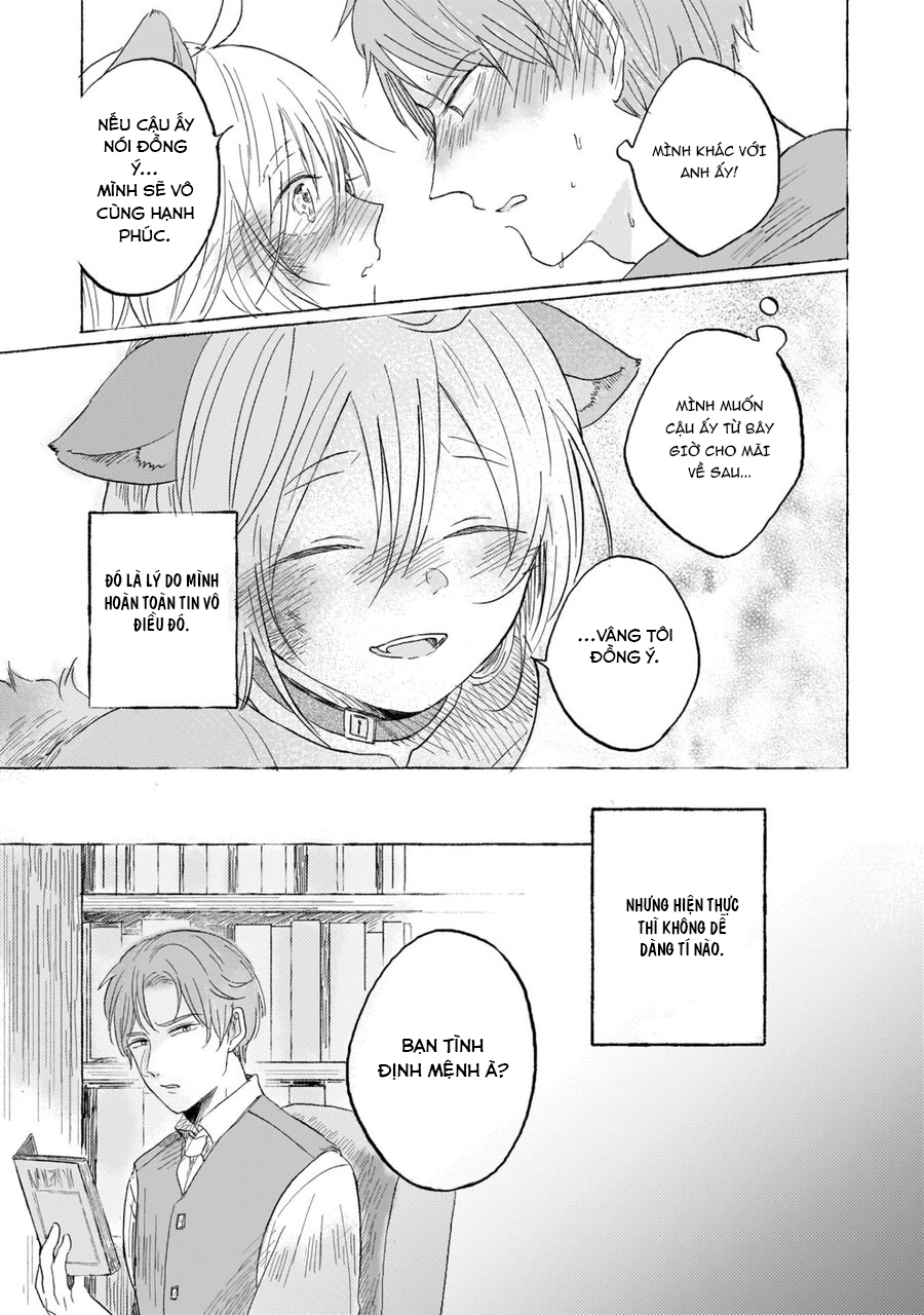 Ouchi e Kaerou: Neko Mimi Omegaverse Chapter 6 - Next Chapter 7