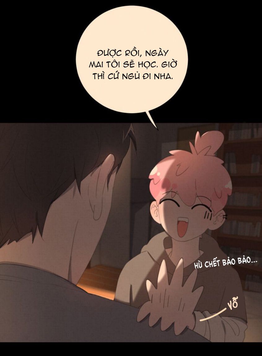 Thế giới của một chú mèo Chapter 26 - Trang 2