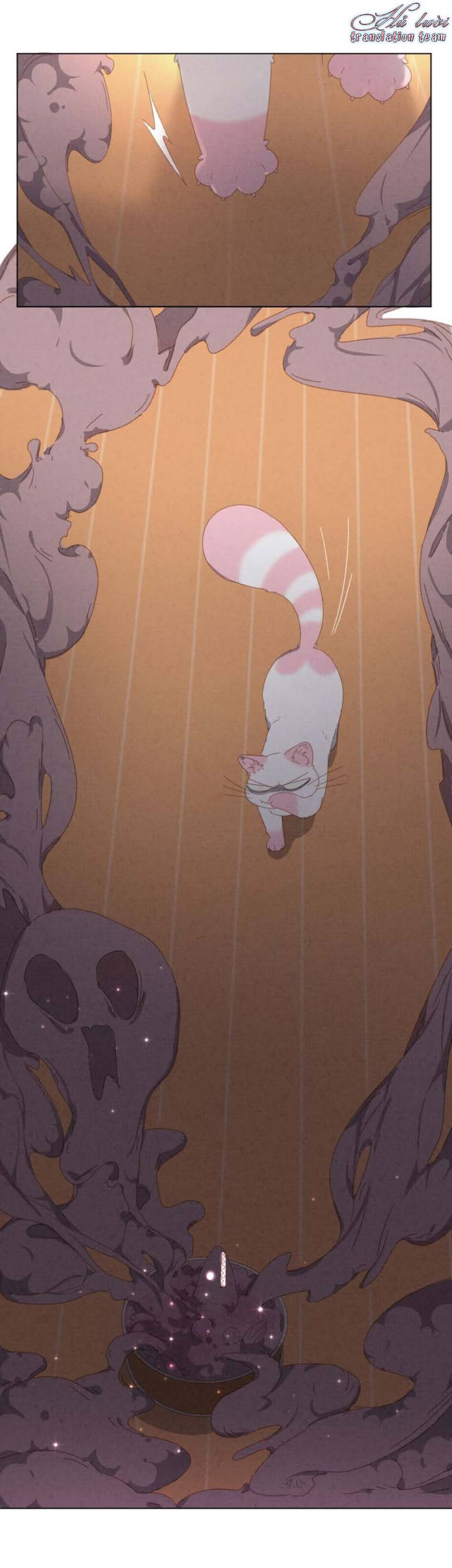 Thế giới của một chú mèo Chapter 21 - Trang 2