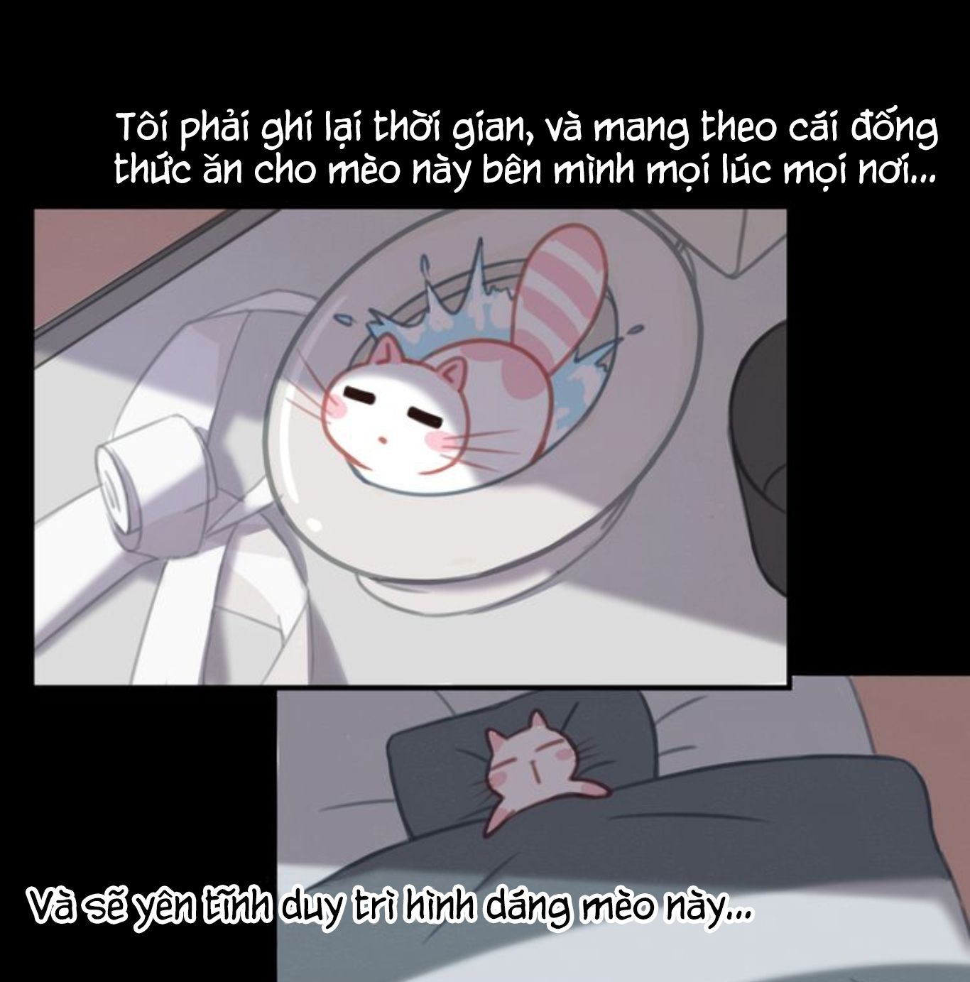 Thế giới của một chú mèo Chapter 8 - Trang 2
