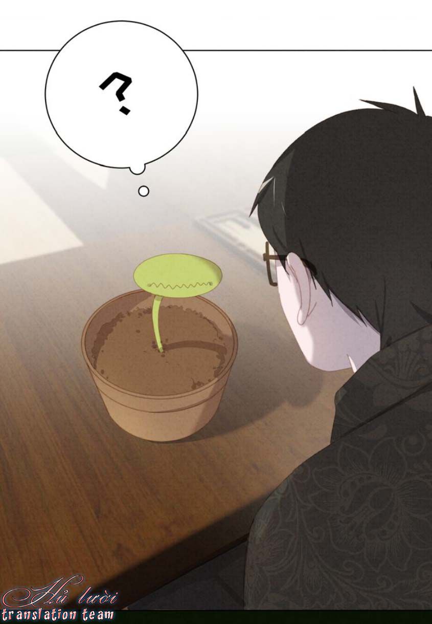 Thế giới của một chú mèo Chapter 24 - Trang 2