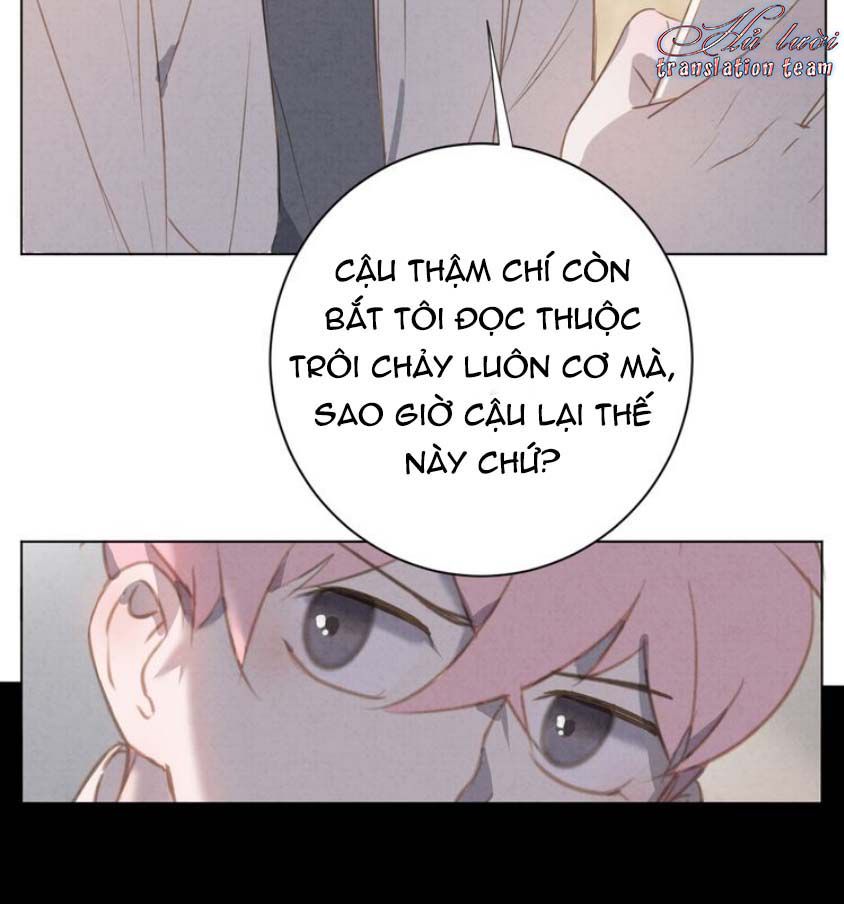 Thế giới của một chú mèo Chapter 18 - Trang 2