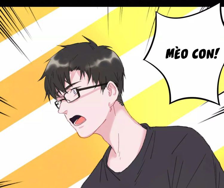 Thế giới của một chú mèo Chapter 2 - Trang 2