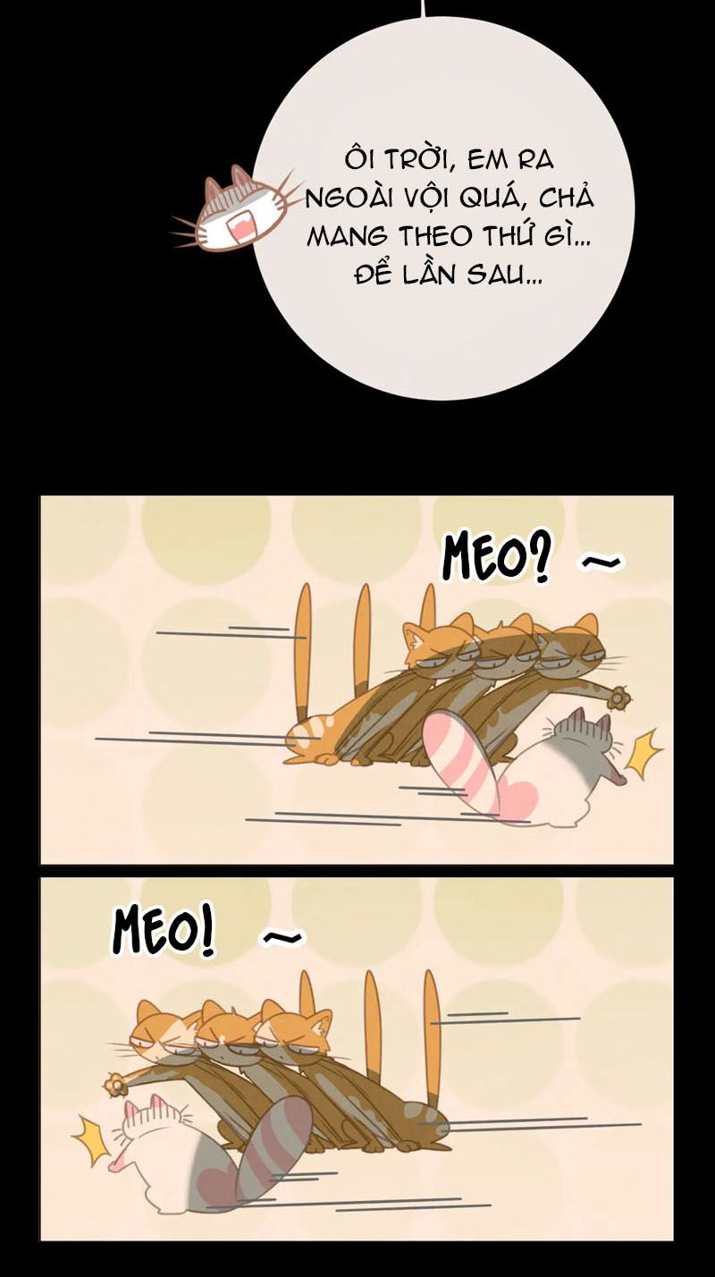 Thế giới của một chú mèo Chapter 27 - Trang 2