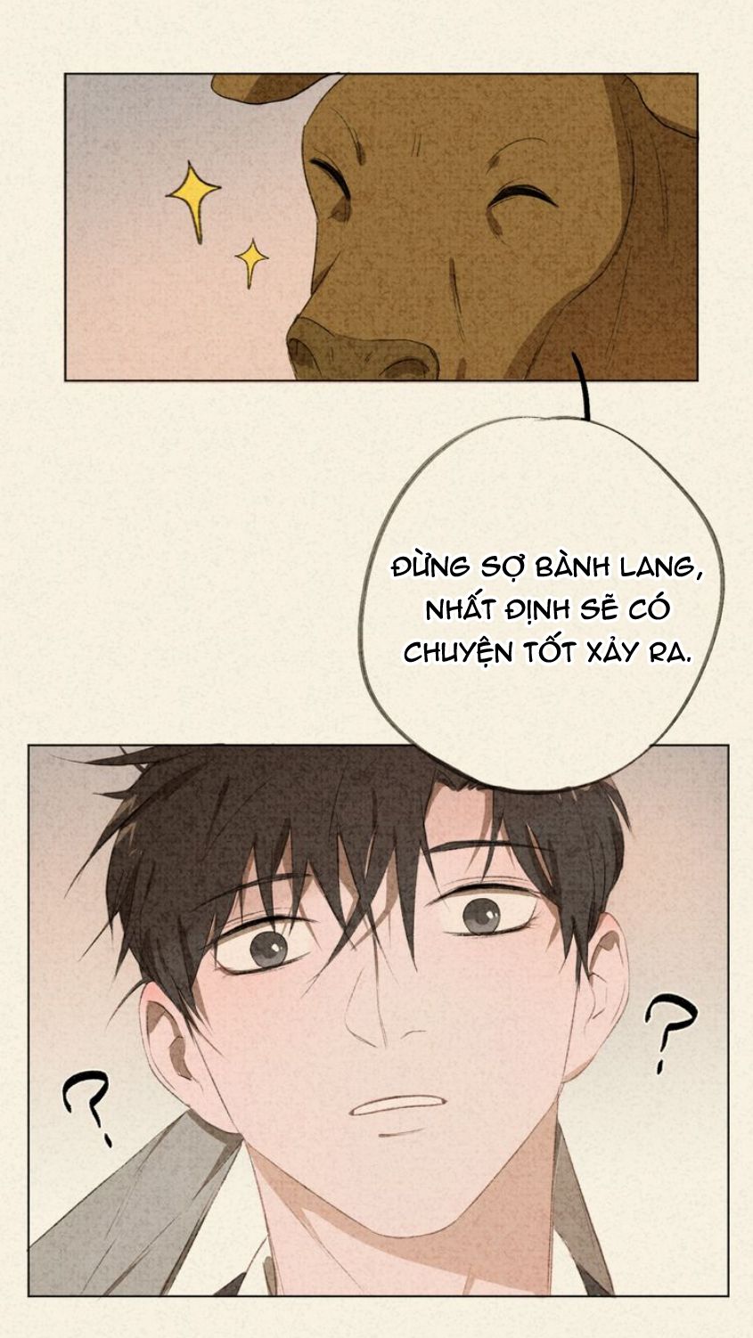 Thế giới của một chú mèo Chapter 15.1 - Trang 2