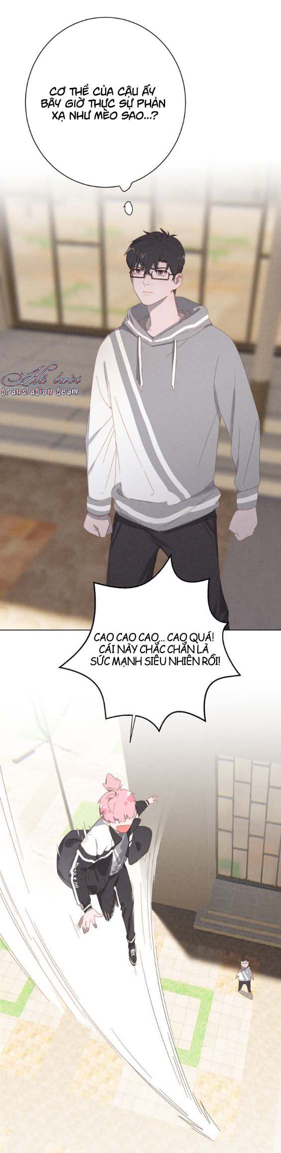 Thế giới của một chú mèo Chapter 22 - Trang 2