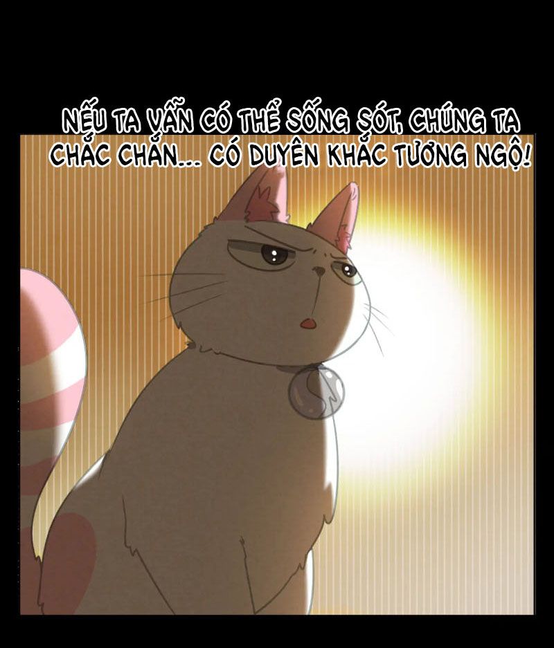 Thế giới của một chú mèo Chapter 27 - Trang 2