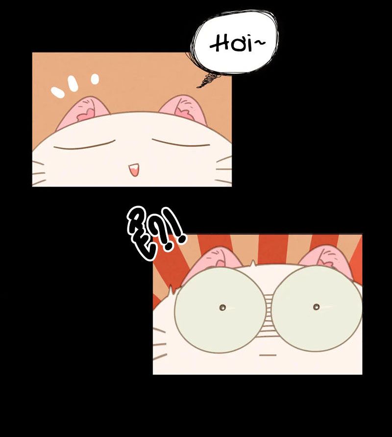Thế giới của một chú mèo Chapter 27 - Trang 2