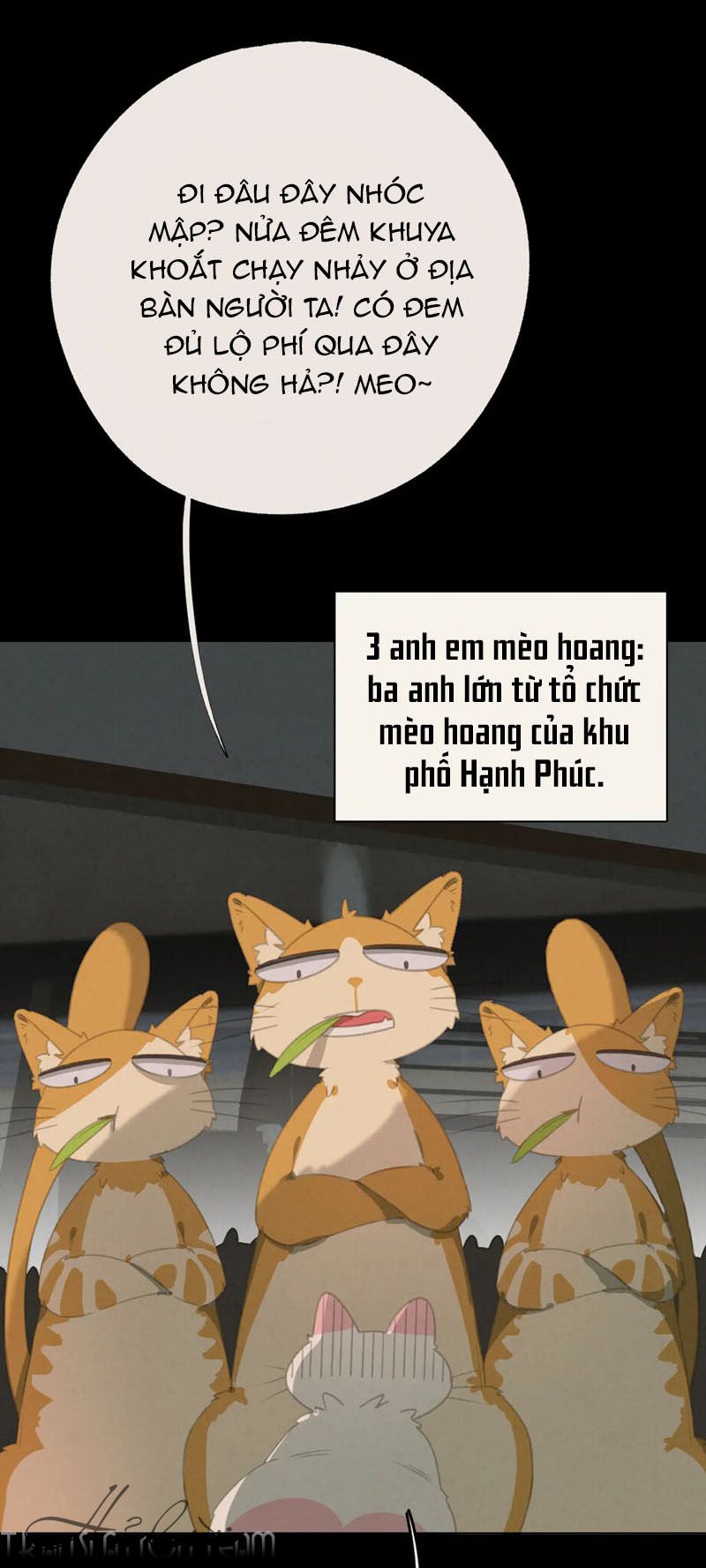 Thế giới của một chú mèo Chapter 27 - Trang 2
