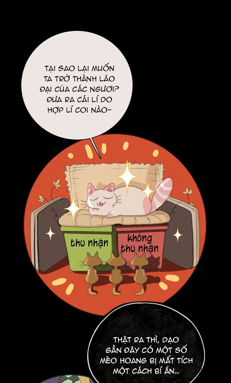 Thế giới của một chú mèo Chapter 27 - Trang 2