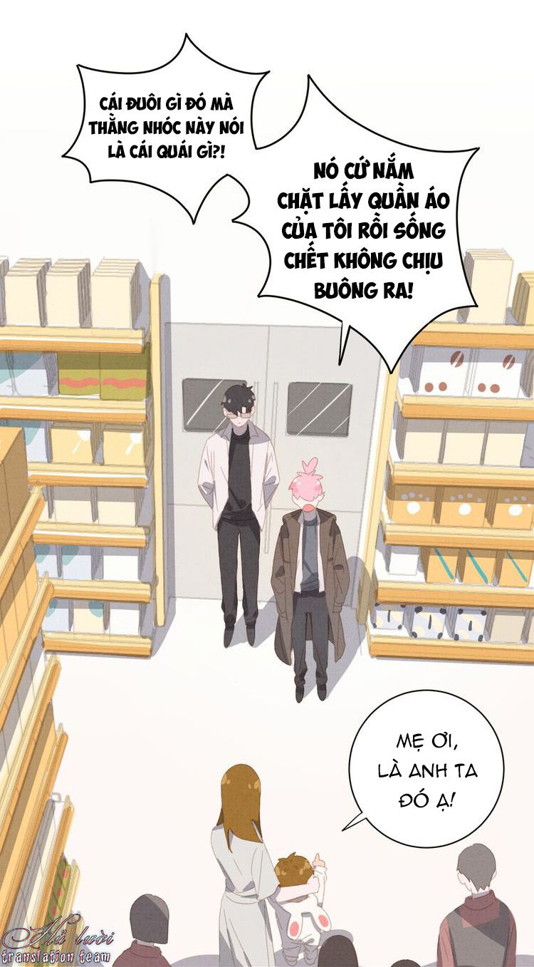 Thế giới của một chú mèo Chapter 20 - Trang 2