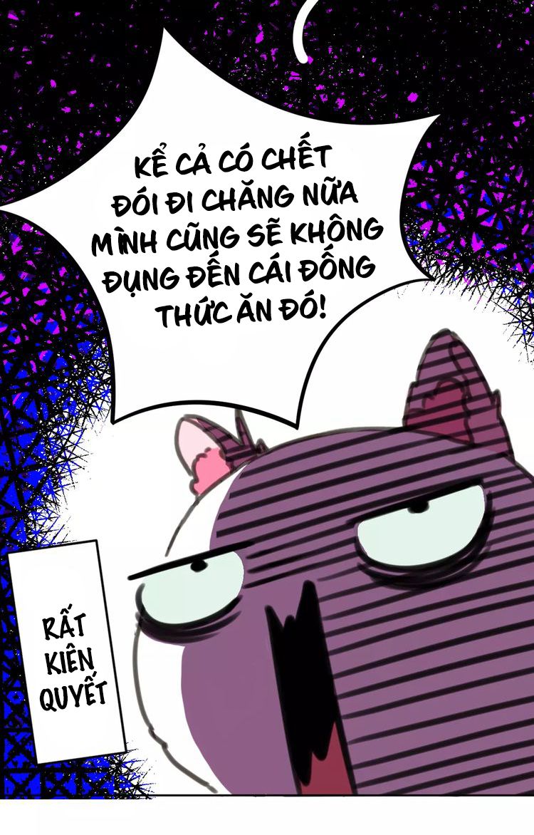 Thế giới của một chú mèo Chapter 2 - Trang 2