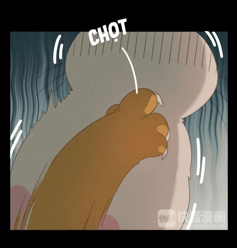 Thế giới của một chú mèo Chapter 27 - Trang 2