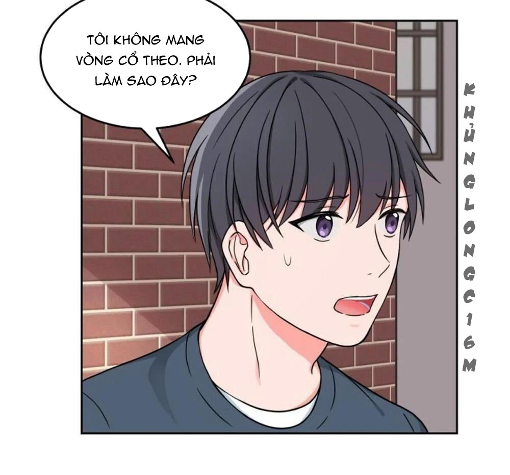 Sit, Wait, Kiss Me Chapter 11 - Trang 3