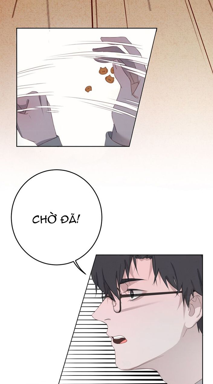 Thế giới của một chú mèo Chapter 11 - Trang 2