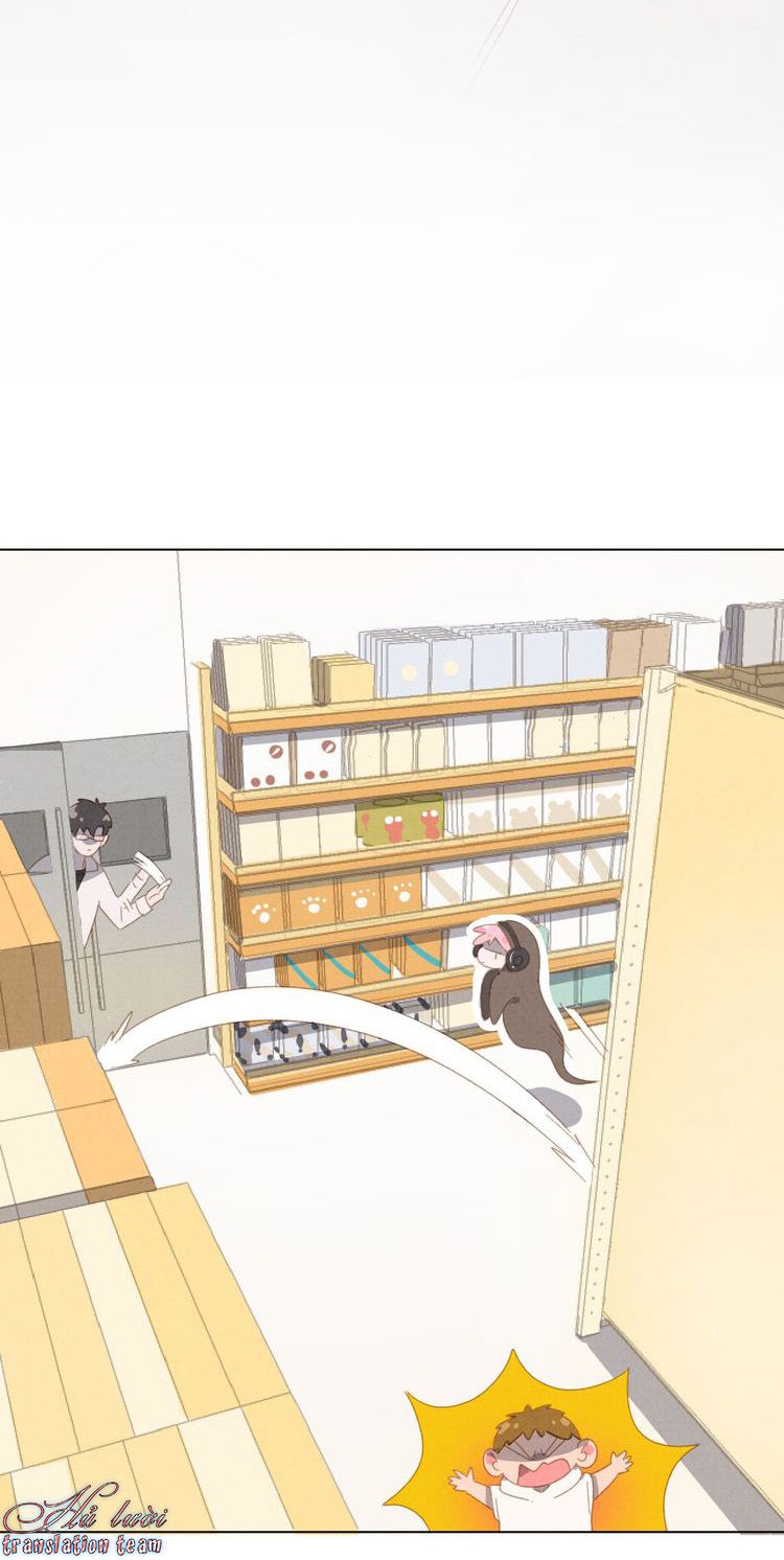 Thế giới của một chú mèo Chapter 20 - Trang 2