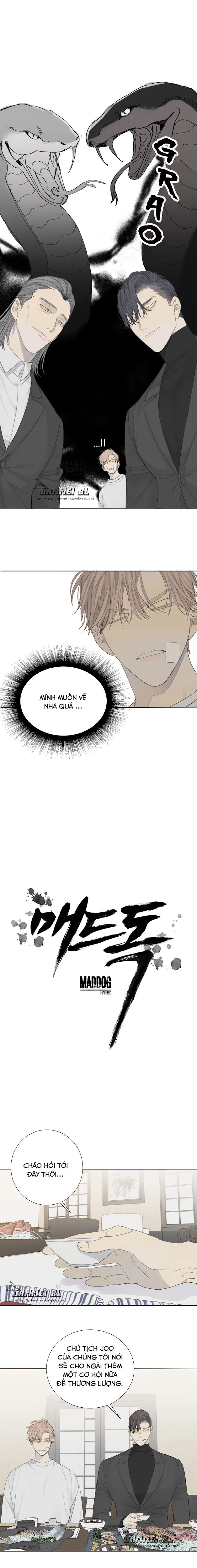 Chó Điên Chapter 9 - Trang 2