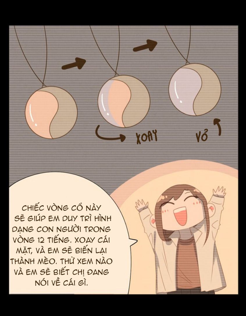 Thế giới của một chú mèo Chapter 26 - Trang 2