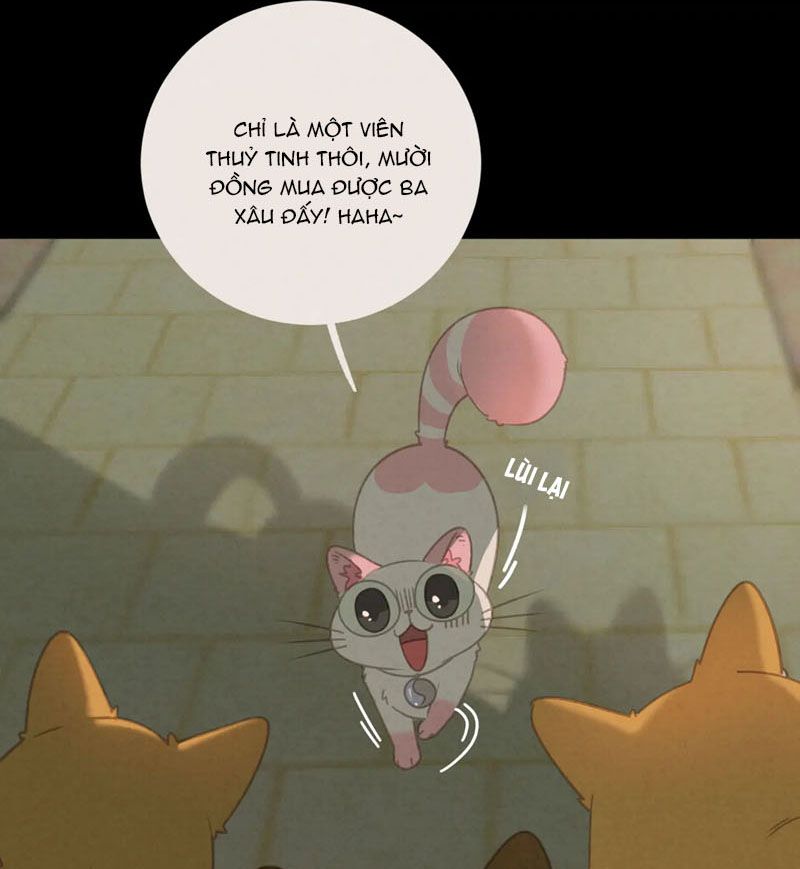 Thế giới của một chú mèo Chapter 27 - Trang 2