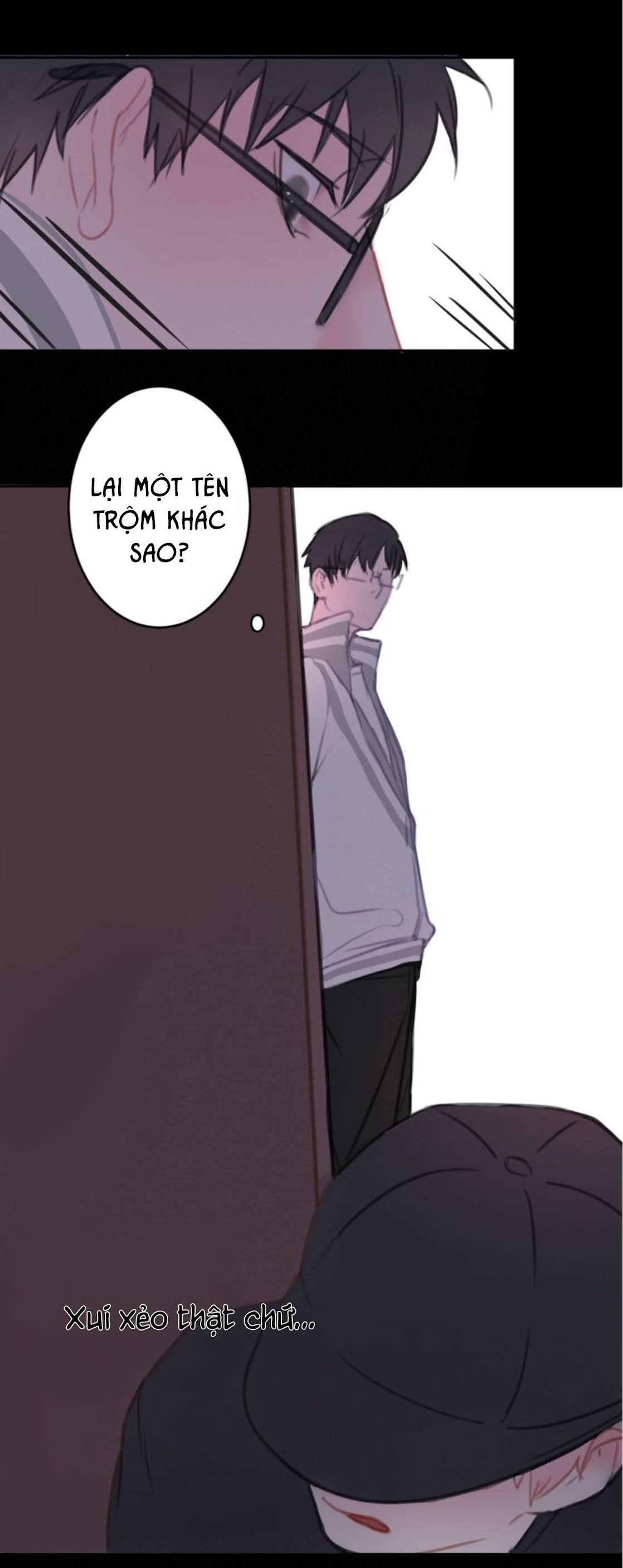 Thế giới của một chú mèo Chapter 7 - Trang 2