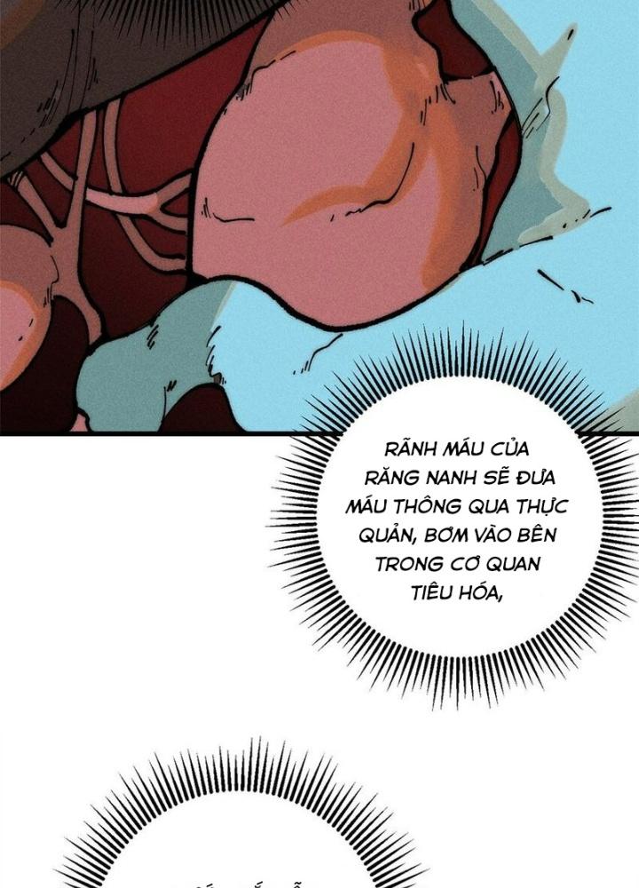 Người Chơi Hung Mãnh Chapter 103 - Trang 2