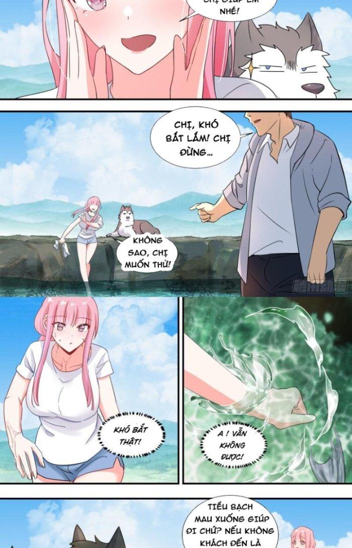 Trọng Sinh Thành Chó Của Nữ Thần Chapter 100 - Next Chapter 101