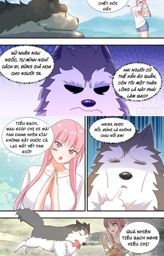 Trọng Sinh Thành Chó Của Nữ Thần Chapter 100 - Next Chapter 101