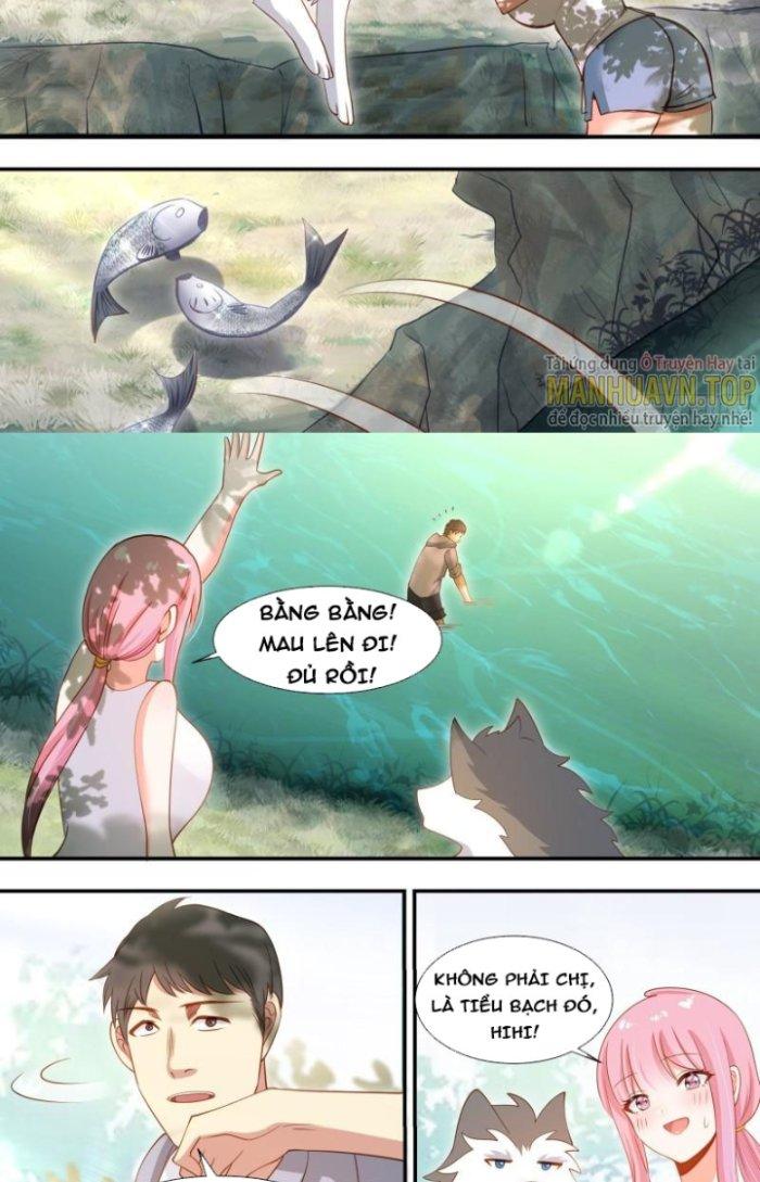 Trọng Sinh Thành Chó Của Nữ Thần Chapter 100 - Next Chapter 101