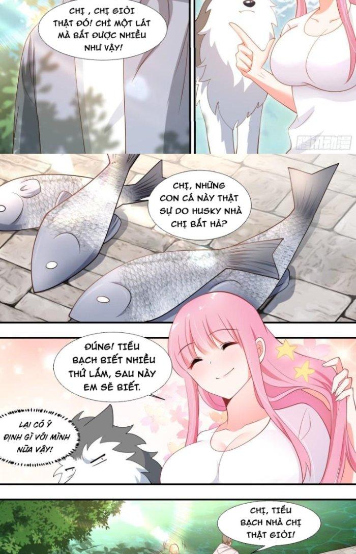 Trọng Sinh Thành Chó Của Nữ Thần Chapter 100 - Next Chapter 101