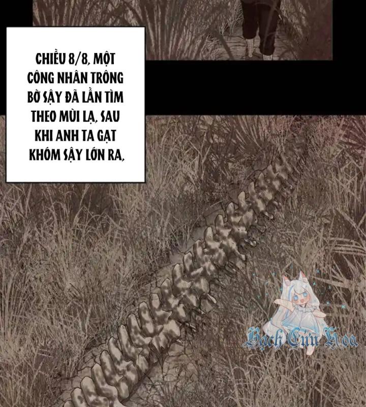 Kẻ Thách Thức Hay Nhà Không Tưởng Chapter 3 - Next Chapter 4