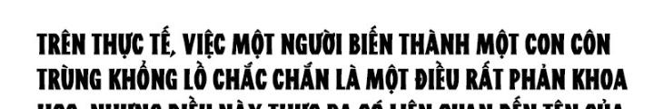 Hắc Dạ Trùng Sinh Chapter 23 - Trang 2