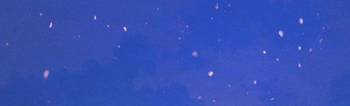 Trường Sinh Đạo Chapter 76 - Trang 2