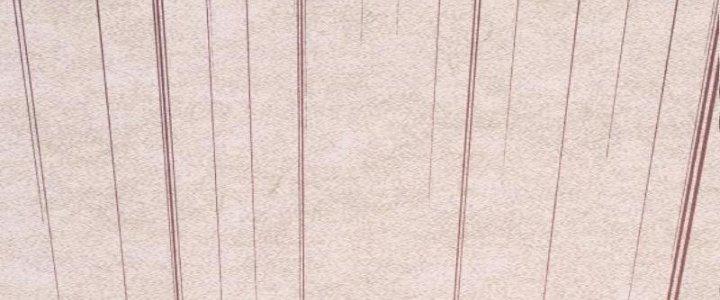 Trường Sinh Đạo Chapter 78 - Trang 2