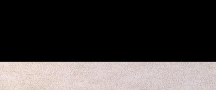 Trường Sinh Đạo Chapter 78 - Trang 2