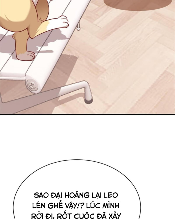 Kế Hoạch Nuôi Dưỡng Streamer Của Cẩu Hoàng Chapter 2 - Trang 2