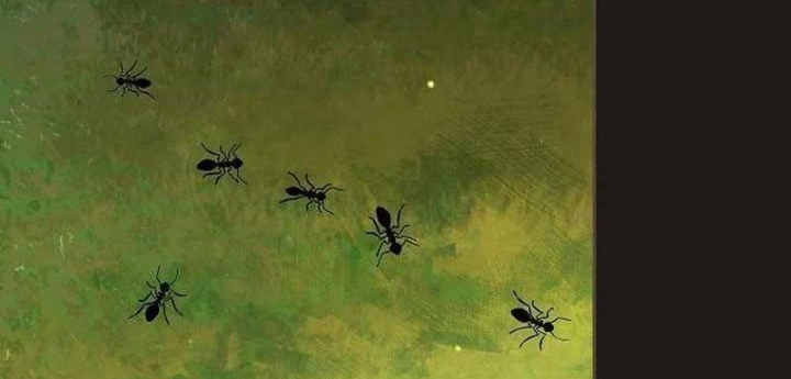 Trở Thành Thiên Tài Bất Trị Của Hắc Gia Chapter 32 - Trang 2