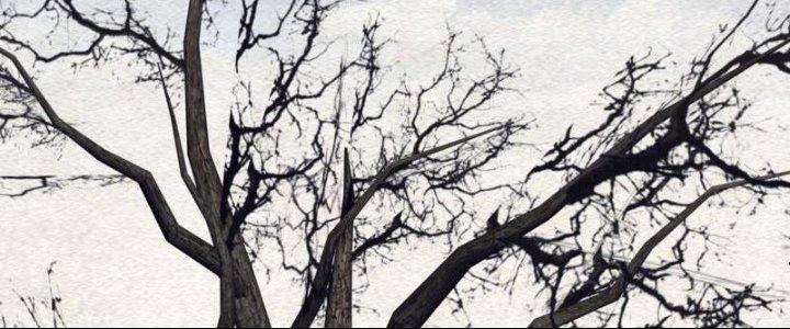 Trường Sinh Đạo Chapter 106 - Trang 2