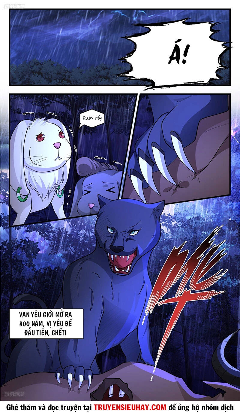 Võ Luyện Đỉnh Phong Chapter 3416 - Trang 4