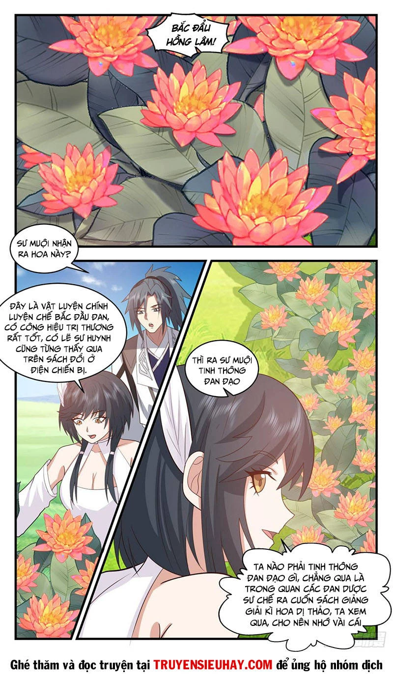 Võ Luyện Đỉnh Phong Chapter 3094 - Trang 4