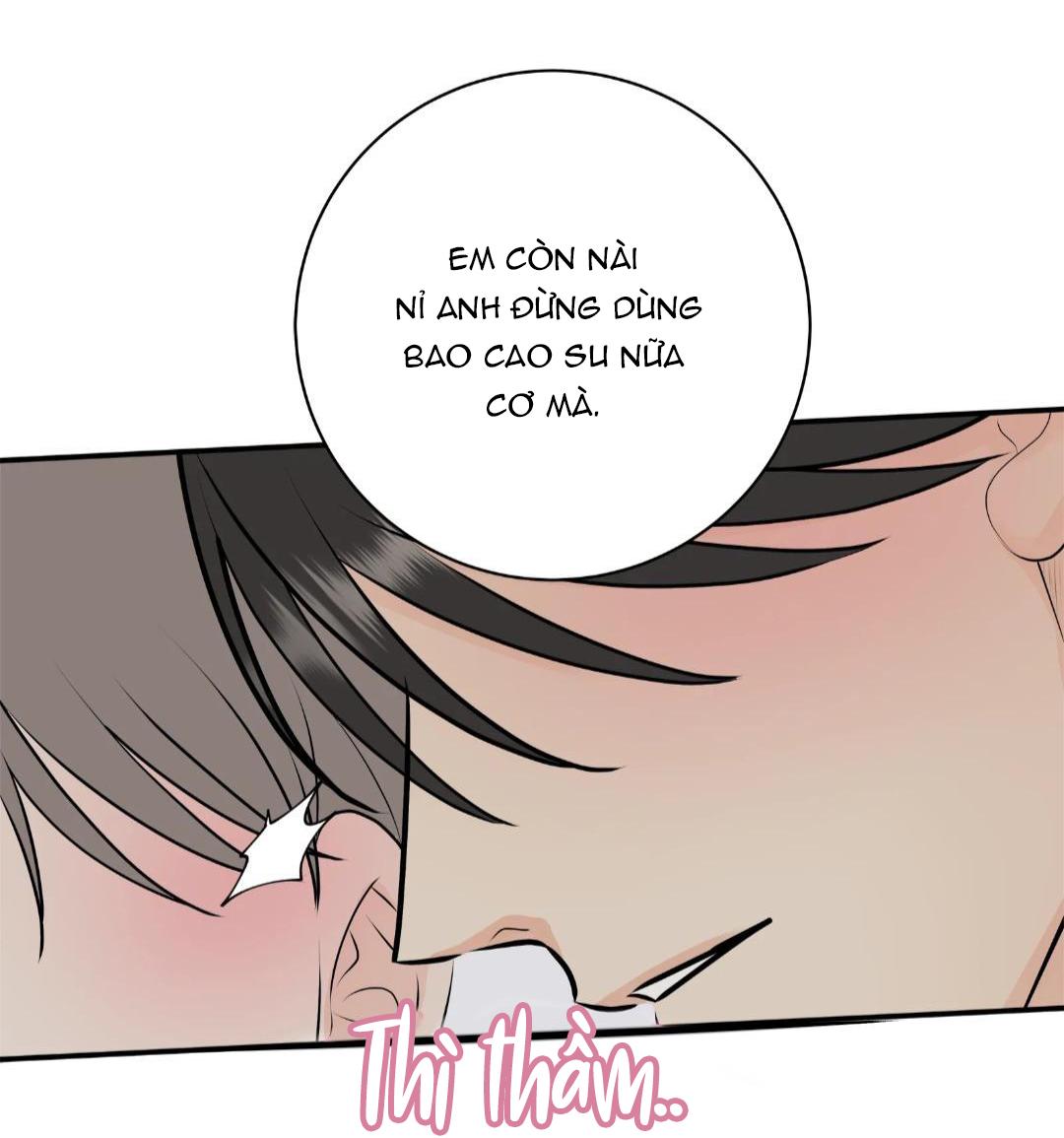 Hạnh Phúc Trọn Vẹn Chapter 23 - Next Chapter 24