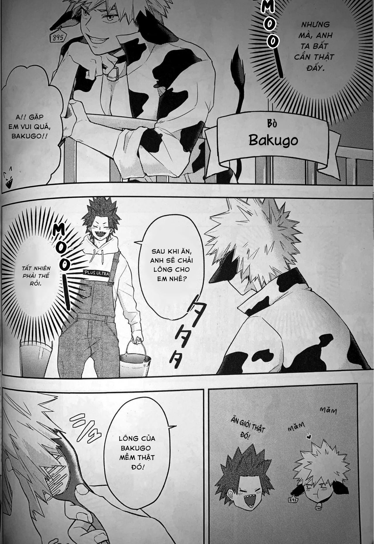 Ổ sìn OTP Chapter 80 KiriBaku - Next Chapter 81 Miya x Hinata